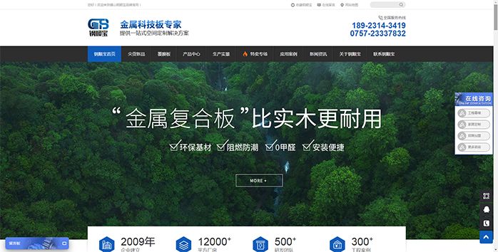 網(wǎng)站建設(shè)