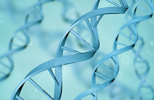 岱山醫(yī)療網(wǎng)站建設(shè)